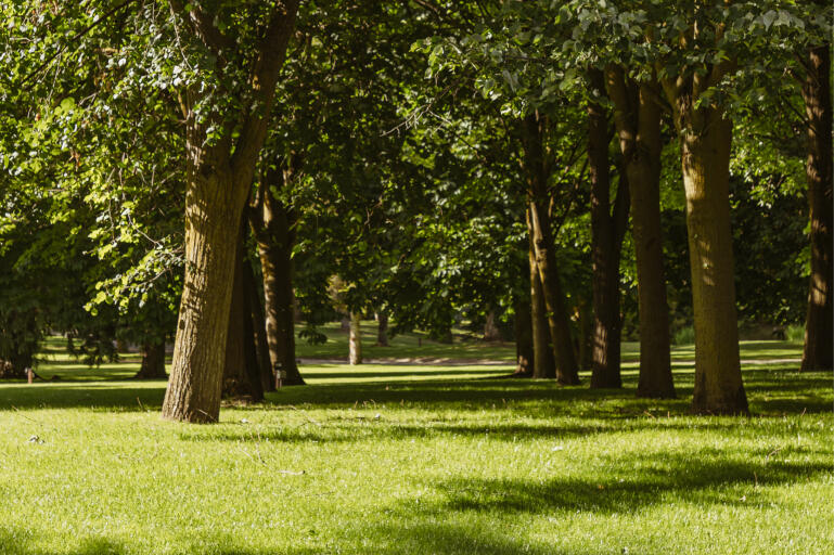 Jardines